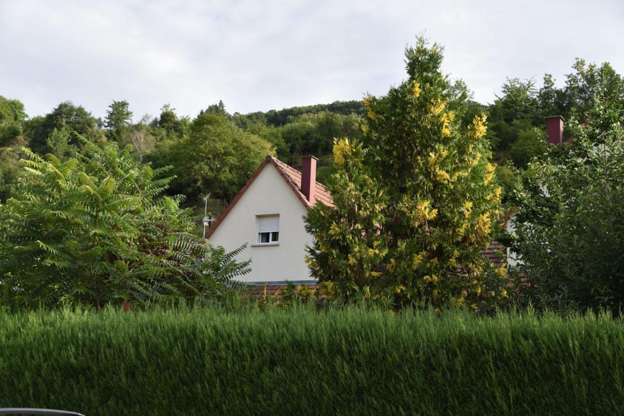 Le Cerisier Villa Kaysersberg-Vignoble Exterior photo